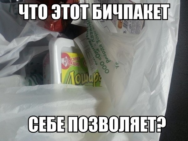 7675566.jpg