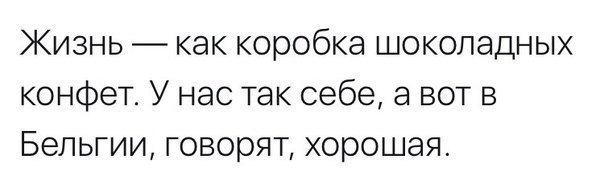 Субботняя порция перлов, высказываний, котоламповых историй