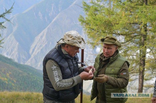 Путин и Шойгу насобирали грибов в тайге