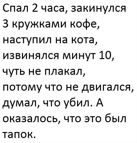 Люди, которые с юмором на ты, а с сарказмом вообще родственники