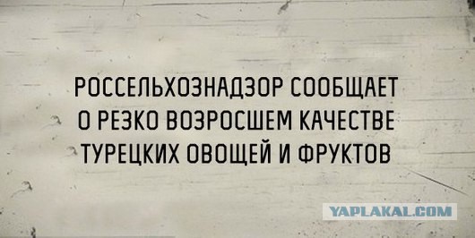 Так многоходовка, или всё-таки отделался помидорами?..