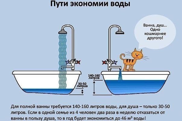 Свежая подборка свежих "баянов"