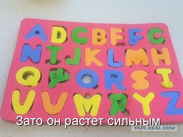 3610776.jpg