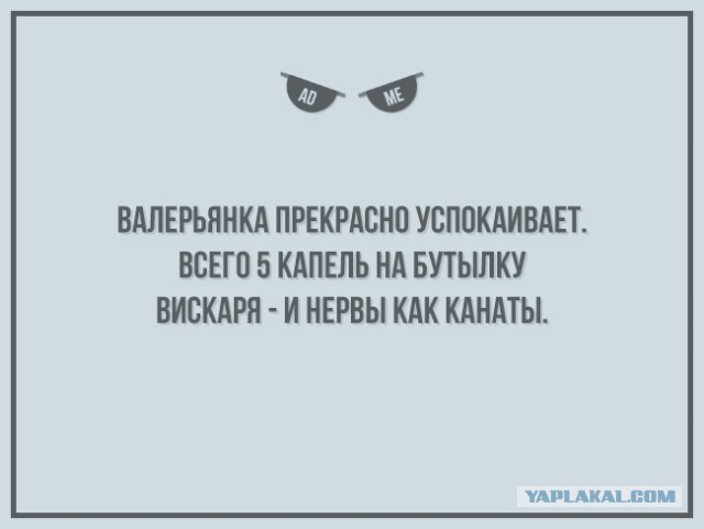 4232186.jpg