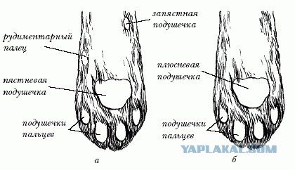 Сказка для Джинна.