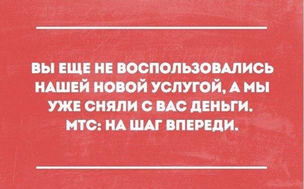 9959386.png