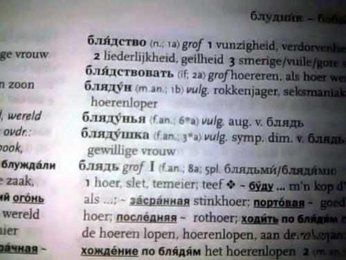 Русско-Нидерландский словарь