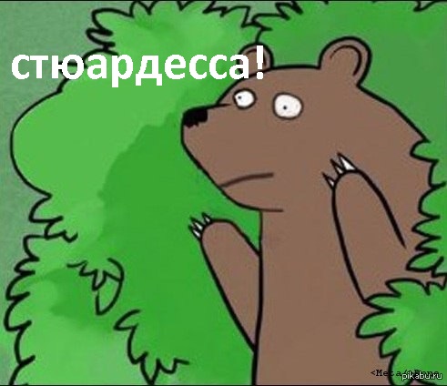 Голландские стюардессы занимались сексом с пилотами во время полета