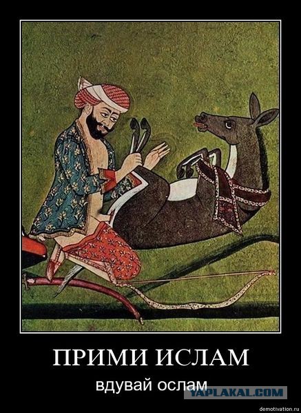 Ислам и скотоложество