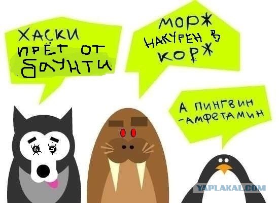 анаша фото приколы онлайн анаша фото приколы