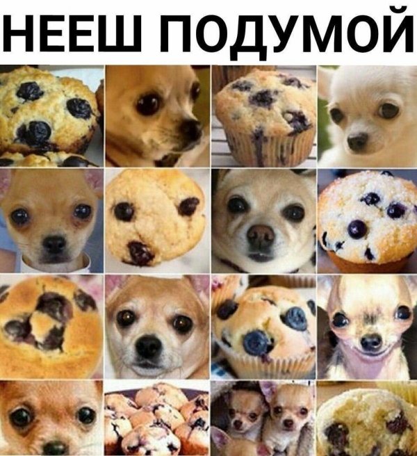 Немного нестандартный юмор