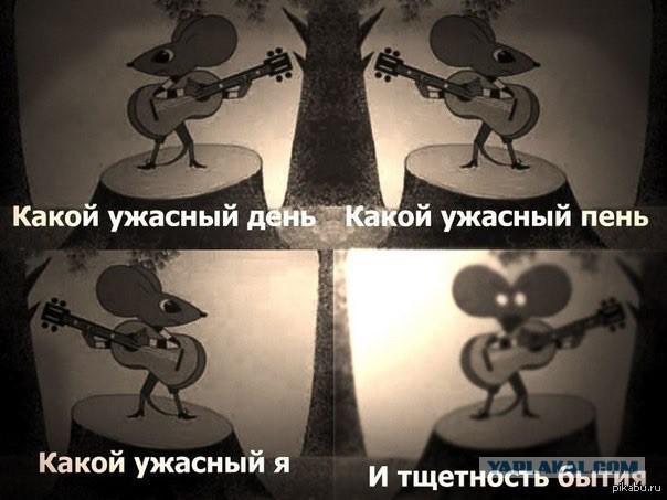 4303596.jpg