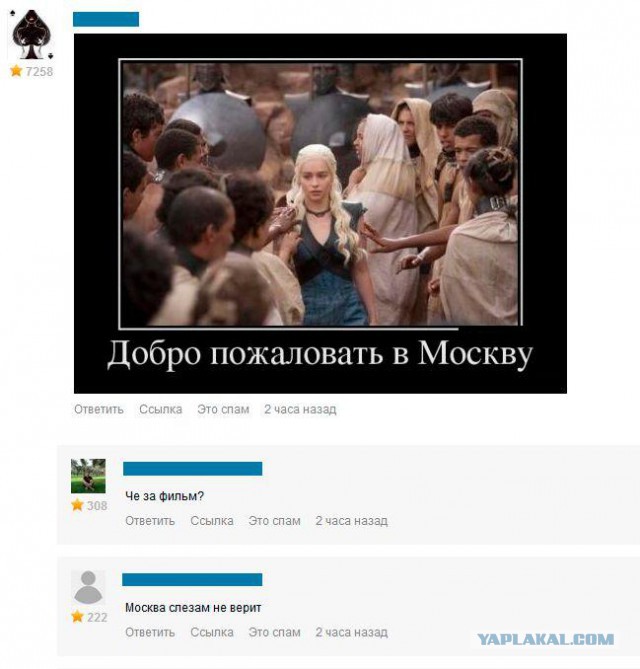 3008307.jpg