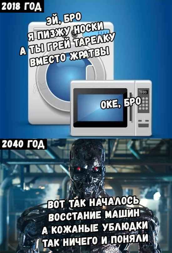 11929507.jpg