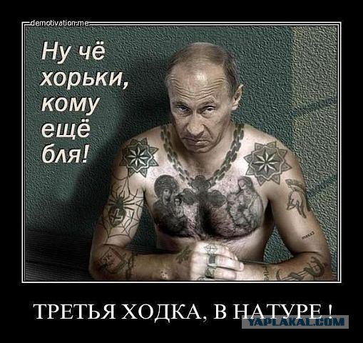 Путин и Олимпиада.