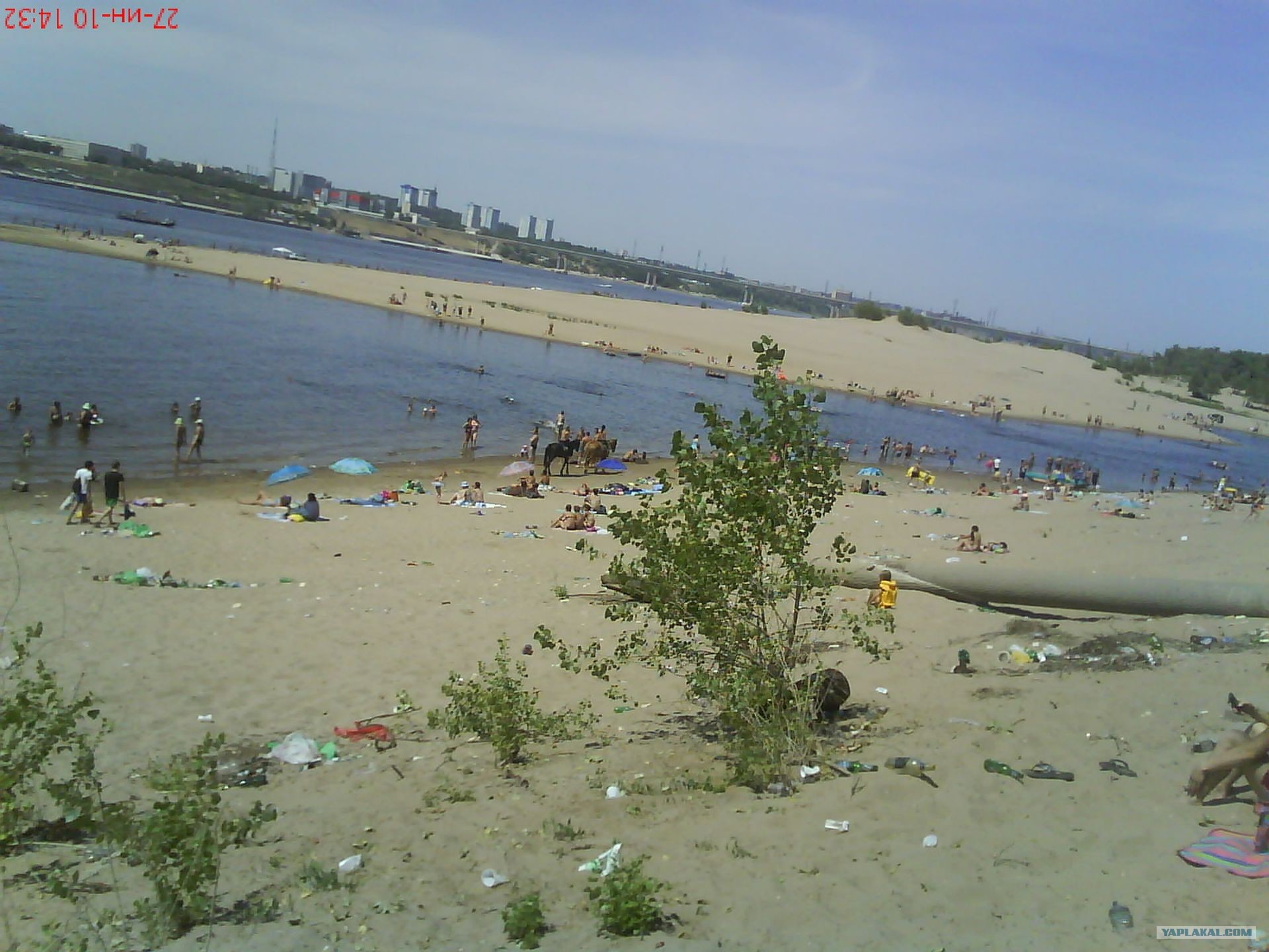 Пляжи в волгограде в красноармейском районе фото Пляжи в волгограде в красноармейском районе фото