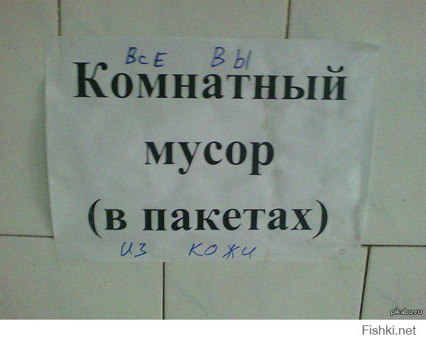 4151807.jpg