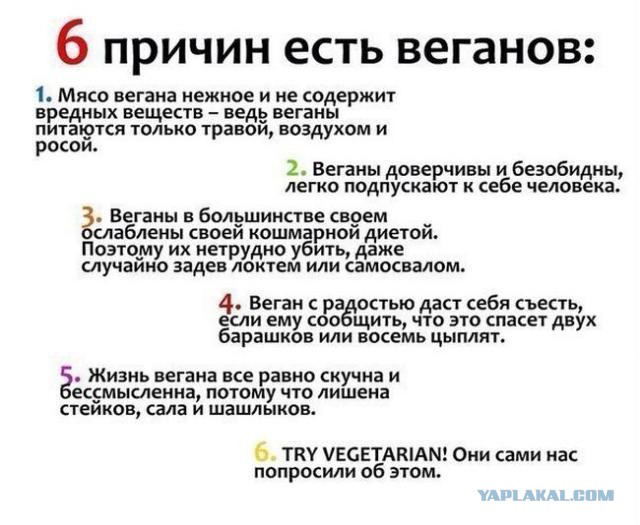 3604117.jpg