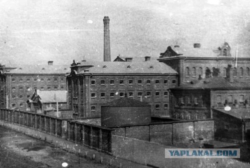 http://s00.yaplakal.com/pics/pics_original/7/1/3/320317.jpg