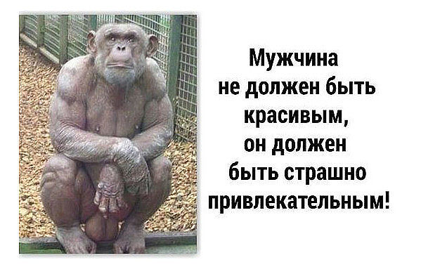 http://s00.yaplakal.com/pics/pics_original/7/1/4/10198417.jpg