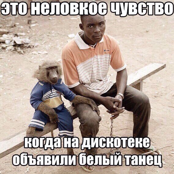 Нестандартный юмор