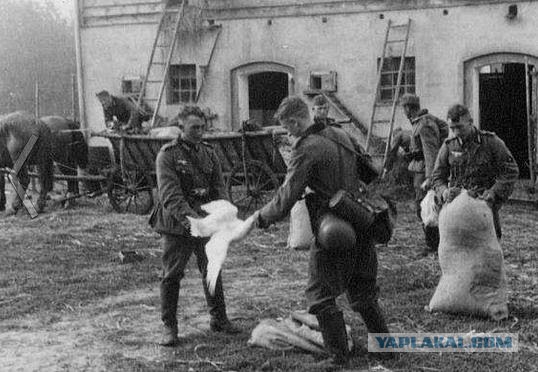 Привычки немцев, которые шокировали русских во время войны