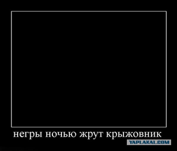 3038717.jpg
