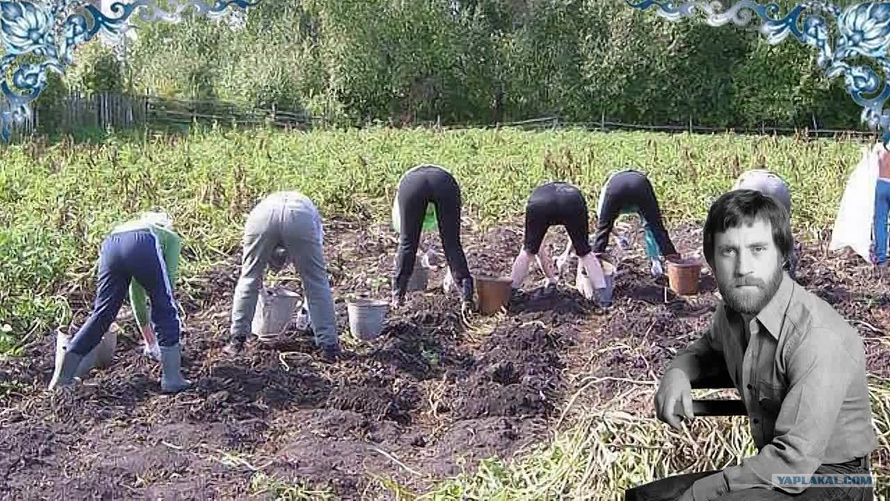 Домашнее порно смотреть - Мужик сеет в пизде рыжей девки семенной урожай