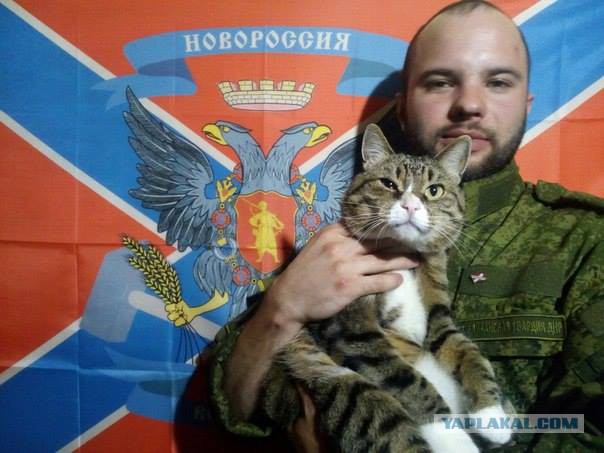 Бывший боец"Азова":"спецназовцы ГРУ"-фальсификация СБУ