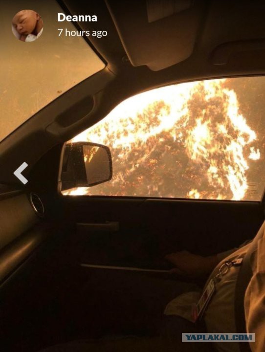 Это фотография машины медсестры, которая во время пожара в Калифорнии спасала жизни людей не смотря на огонь
