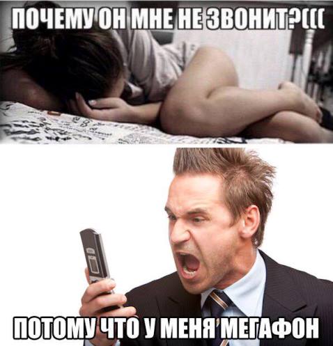 9753327.jpg