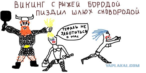 7857527.jpg
