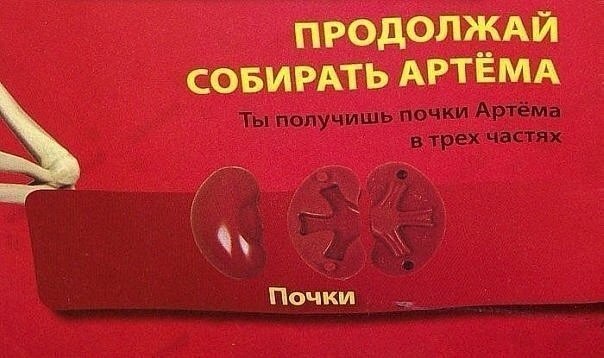 4385827.jpg
