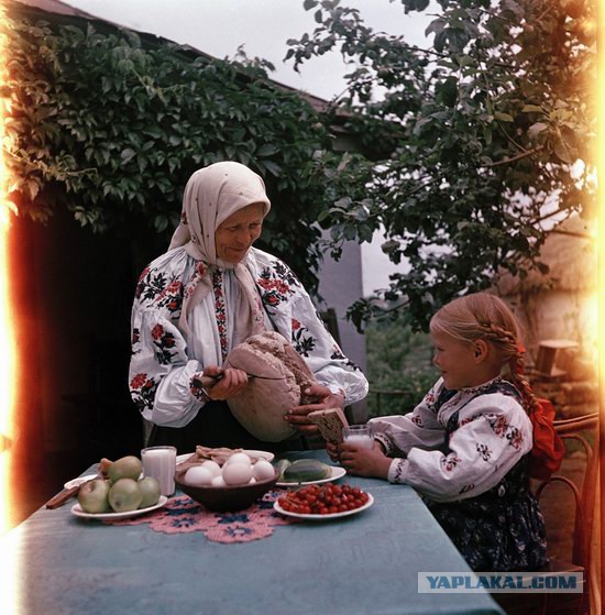 Трудовые будни: цветные фото повседневной жизни в СССР 1950-х