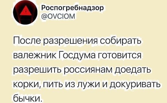 За неправильный хворост грозит штраф и даже колония. Как собрать валежник и не попасть под уголовную статью...