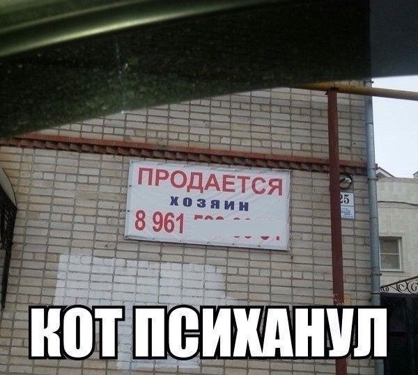 10970337.jpg