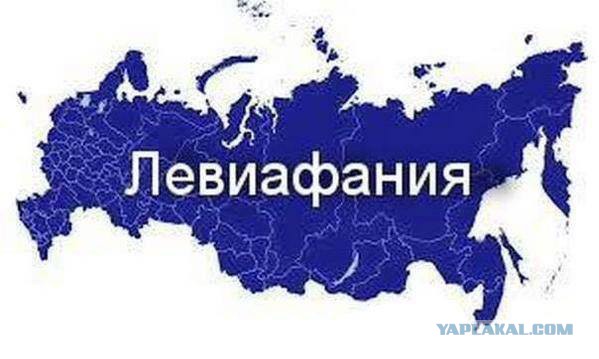 «Без денег и жилья»: главврач навел порядок в больнице и остался без работы