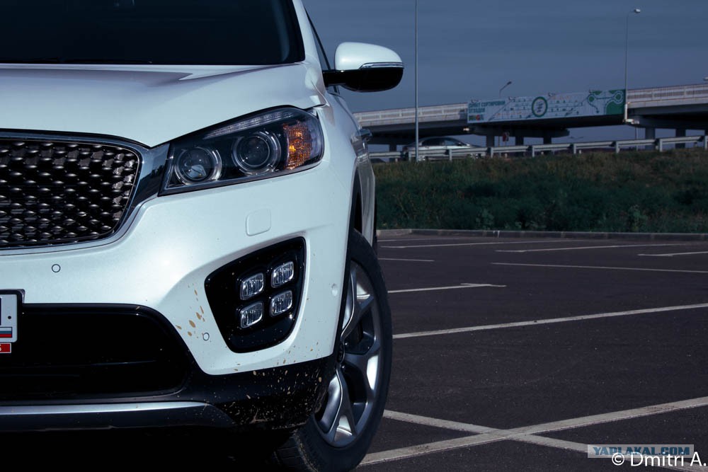 kia sorento prime gt line фото
