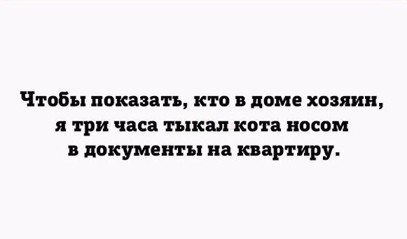 Смешные картинки