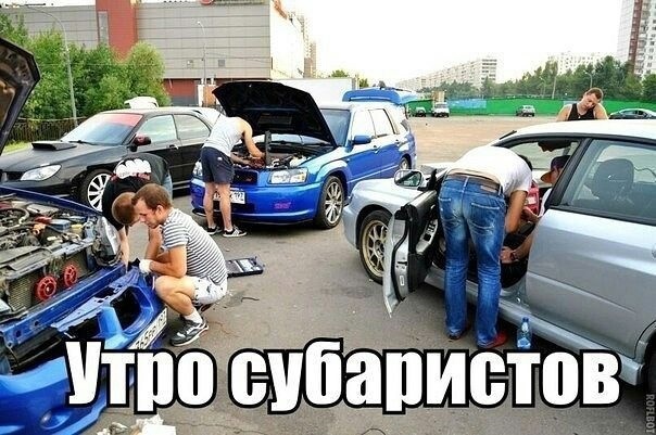 приколы с автомаслами