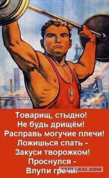 Как я подсел на протеин.