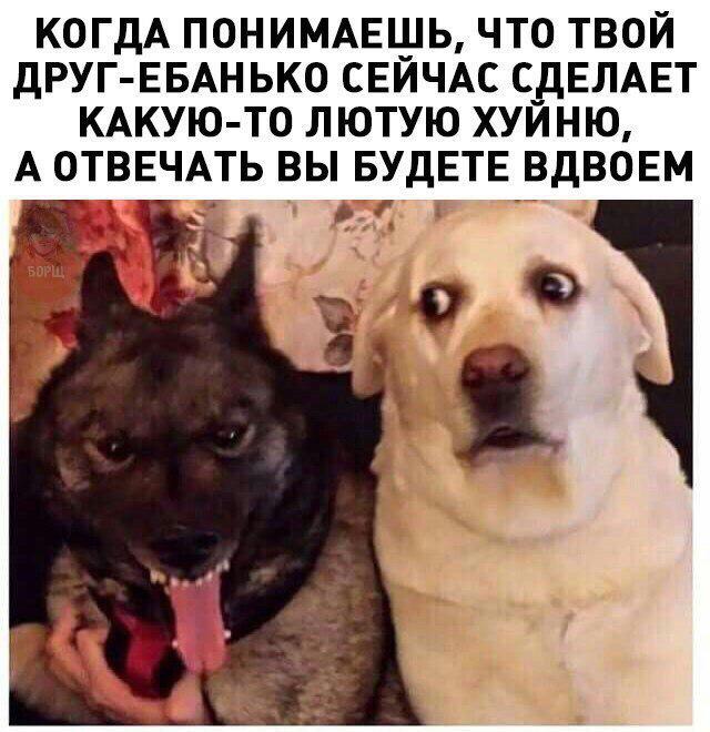 11610837.jpg