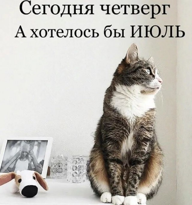 Среда Работа Картинки