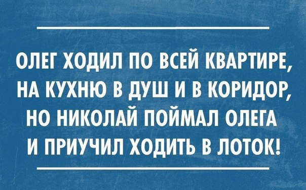3898047.jpg