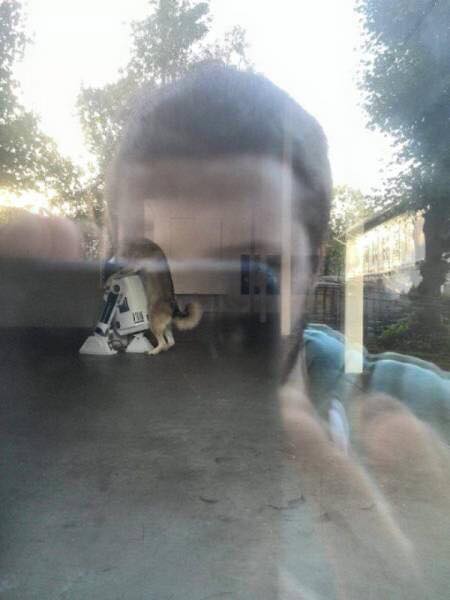 7001047.jpg