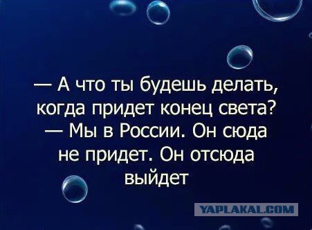 КиберБеркут: США готовят цветную революцию в РФ по примеру Украины