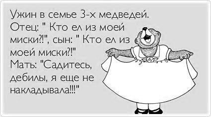 4451647.jpg