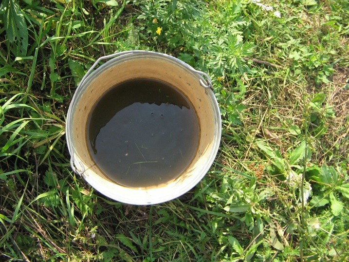 рыба толстолобик где водится на что ловить рыба толстолобик где водится на что ловить