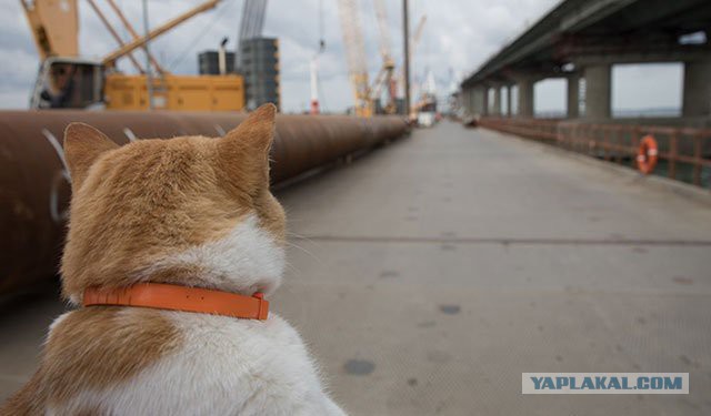Крымский мост невозможно было построить без него