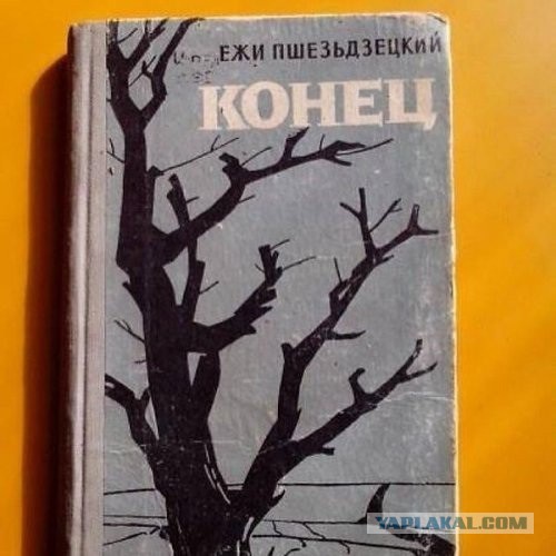 В Гданьске автомобиль калининградцев закидали камнями